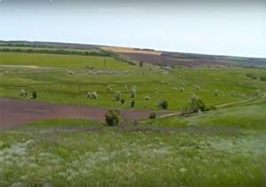 В Україні вивчатимуть вплив парникових газів на сільське господарство