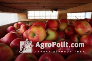 Експорт українських яблук до Азії та ЄС ускладнюється через коронавірус