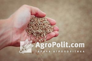 В Україні прогнозують недобір врожаю зерна