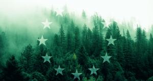 ЄС відкладе реалізацію частини «зеленої угоди» через пандемію, — ЗМІ