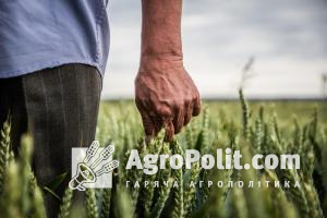 Зеленському пропонують внести зміни до Конституції про те, що основою аграрного устрою в Україні є фермери