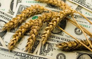Агарії залучили $1 млрд під аграрні розписки за п’ять років