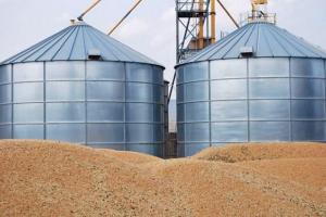 В українських сховищах скоротилися запаси зернових
