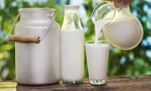 В Україні скоротилось надходження молока на переробку