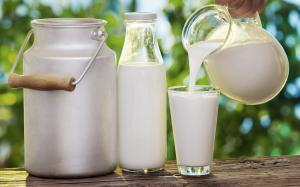 Молоко дорожчає через сезонний спад виробництва, — експерти