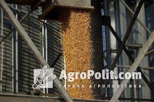 Україна фіксує спад експорту зернових 