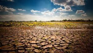 Зеленський «вже зараз» очікує від Мінекономіки пропозицій щодо допомоги потерпілим від посухи аграріям