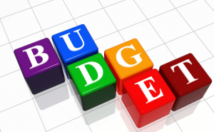 Державний бюджет 2021 рік: детальний аналіз аграрних видатків та державної підтримки