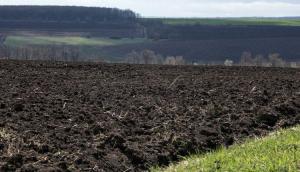 Прокуратура Луганщини повернула громаді землю вартістю понад 1 млн грн