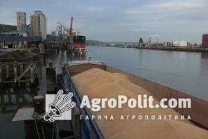 За 9 місяців морські порти обробили понад 35 млн т зернових