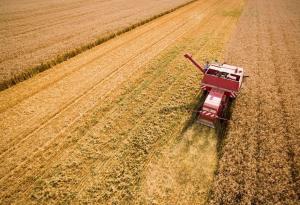  Аграрії зібрали 76% урожаю зернових, засіяли озимими 62% площ до прогнозу