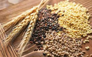 Аграріям послабили умови виконання форвардних зернових контрактів