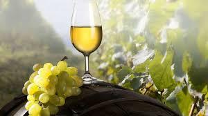 В Україні вперше відзначили День виноградаря і винороба
