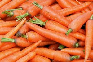 В Україні різко знизились ціни на моркву