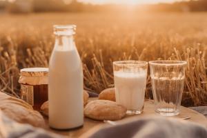 В Україні зменшується виробництво молока