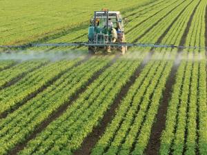 В Україні планують вдосконалити державне регулювання у сфері поводження з пестицидами і агрохімікатами