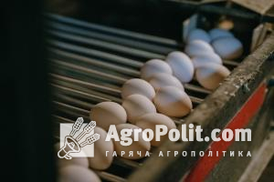  Українські яйця експортуватимуть до Ефіопії