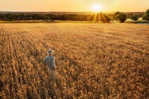 Україна залучить $5 млн від IFC на формування кліматично орієнтованого сільського господарства