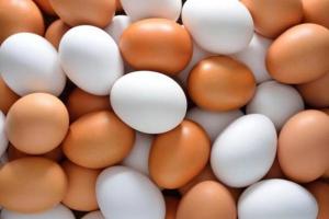 UkrLandFarming звинуватила НАБУ у падінні виробництва яєць на на 16%