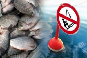 Держрибагентство заборонило з 1 квітня нерестовий вилов риби