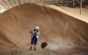 Детективи НАБУ запобігли розкраданню 340 т зерна з Держрезерву