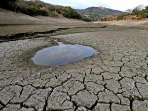 До 2030 року світу загрожує глобальний дефіцит води, — ЮНЕСКО