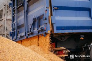 В уряді планують зменшити кількість нотифікацій при експорті зерна