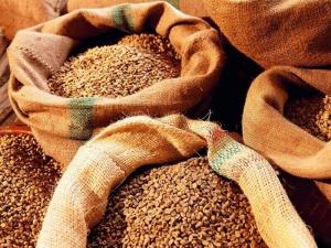 Україна експортує зерно до понад 100 країн світу