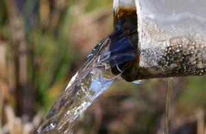Експерт назвала кроки, які повинен зробити уряд, аби зменшити забруднення вод агросектором 