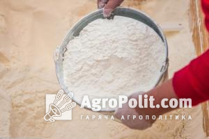 Україна експортувала понад 80% запланованого обсягу пшениці, — Мінекономіки