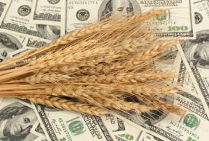 Збільшення цін на зерно, олійні, кукурудзу буде тривати до нового врожаю – до червня 2021 року