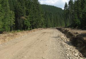 Лісові дороги розбудовуватимуть за програмою «Велике будівництво»