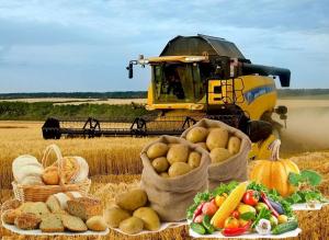 На Київщині фермери планують побудувати розподільчі продуктові термінали
