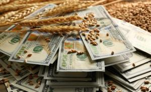АТ «Аграрний фонд» у 2020 році отримав 2,2 млрд грн чистого прибутку
