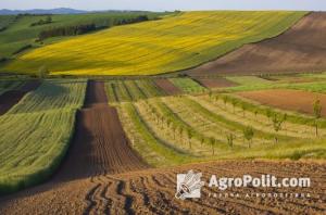 Уряд сьогодні розгляне зміни до законопроєкту щодо умов обігу земель сільськогосподарського призначення