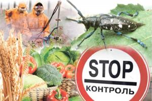 В Україні попереджено 37 випадків завезення на територію України карантинних мікроорганізмів