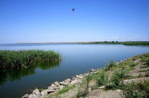 Зеленський анонсував аудит всіх водних ресурсів України