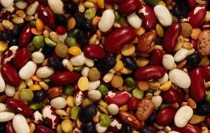 Україна отримала дозвіл на постачання насіння трав та бобових на міжнародні ринки