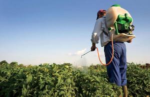 Аграрії зменшили застосування пестицидів на 3%