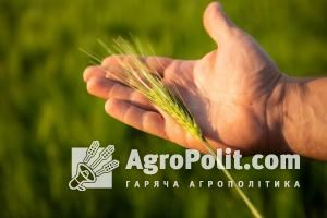 В Україні буде рекордний урожай зернових, – прогноз міністра
