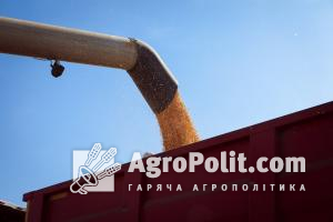 Держпродспоживслужба забезпечила фітосанітарний контроль при експорті 18,4 млн т зернових та олійних