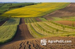 Названо 124 юридичні компанії, які володіють сільськогосподарськими землями в Україні
