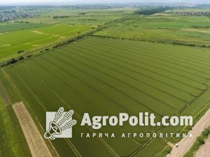 В Україні спростять процедуру оформлення земельних ділянок