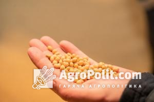 Експорт зернових перевищив 3 млн т, — Мінагро
