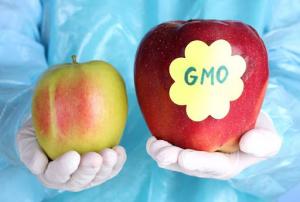 В Україні планують посилити держконтроль за обігом продукції з ГМО