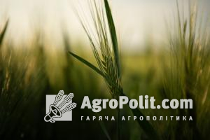 Україна прискорює темпи експорту зерна на тлі прогнозу рекордного врожаю