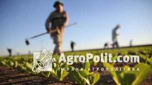 Уряду пропонують закріпити фермерство основою аграрного устрою України у Конституції