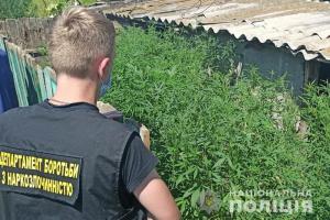 На Одещині поліцейські викрили чотирьох наркоаграріїв