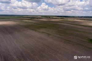 Ринок землі: в Україні зареєстровано 7 112 земельних угод