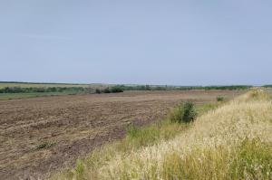 На Луганщині фермер розорав 22 га землі заповідника